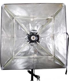 Falcon Eyes daylight lamp holder + софтбокс 50x50см (LH-ESB5050)