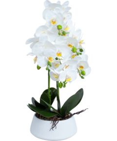 Orchid IN GARDEN H68cm white pot