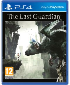 Sony PS4 THE LAST GUARDIAN