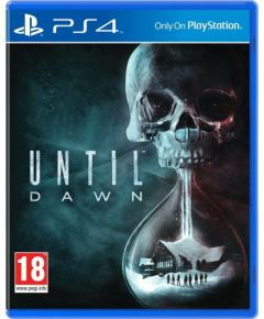 Sony PS4 UNTIL DAWN