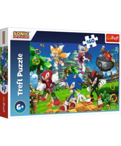 Puzlis TREFL SEGA Sonic The Hedgehog 160 gb. 6+ T15421