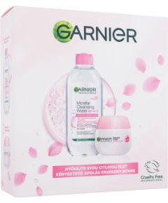 Garnier Skin Naturals / Rose Cream 50ml Gift Set W / Day Cream