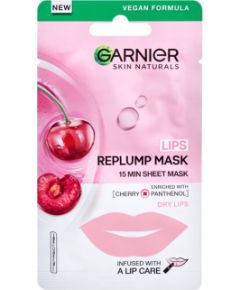 Garnier Skin Naturals / Lips Replump Mask 5g W / Face Mask