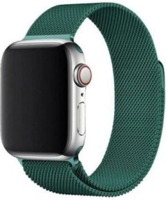 iLike Apple  Magnetic Strap Watch 7 7/8 41mm Magnetic Strap Bracelet Green