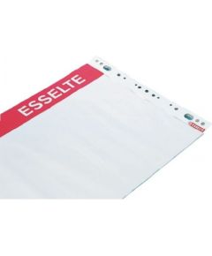 Pad for conferences Esselte, 59x80 cm, 60 g white (50) 0715-008