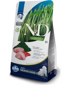 FARMINA N&D Spirulina Lamb Puppy MED/MAXI - dry dog food - 7 kg