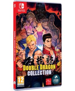 Nintendo Switch  Double Dragon Collection