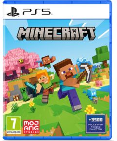 PS5 Minecraft