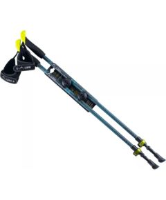 Nordic Walking poles Elbrus Blasimon 92800404936