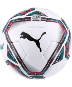 Puma teamFINAL 21.3 Fifa Quality ball 083306 01 (4)