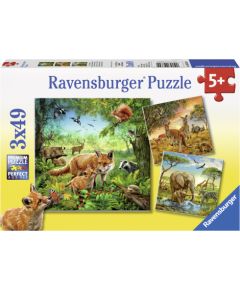 Ravensburger Puzzle 3x49 pc World Animals