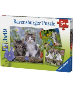 Ravensburger Puzzle 3x49 pc Kittens