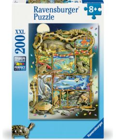 Ravensburger puzzle 200 pc Reptiles on a Picture Frame