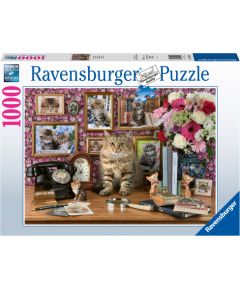 Ravensburger Puzzle 1000 pc My Cute Kitty