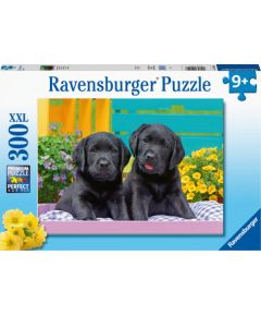 Ravensburger  Puzzle 300 pc Puppies