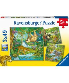 Ravensburger Puzzle 3x49 pc Jungle Fun