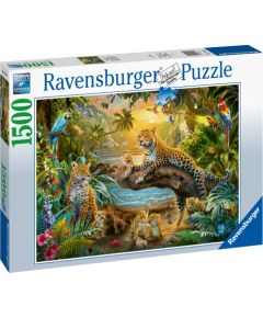 Ravensburger Puzzle 1500 pc Savannah comes to life