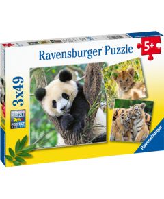 Ravensburger Puzzle 3x49 pc Wild Nature