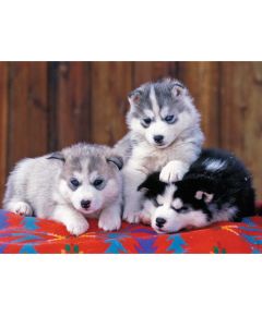 Ravensburger Puzzle 200 pc Huskies