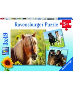 Ravensburger Puzzle 3x49 pc Loving Horses