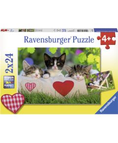 Ravensburger Puzzle 2x24 pc Cats