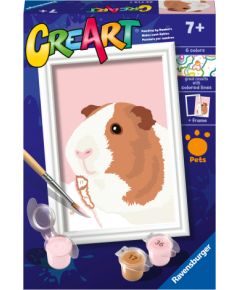 Ravensburger Paint by Numbers Guinea Pig