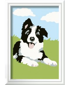 Ravensburger Paint by Numbers Border Collie