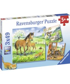 Ravensburger Puzzle 3x49 pc Cuddle Time