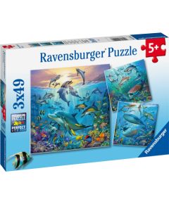 Ravensburger Puzzle 3x49 pc Ocean Life