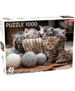 Tactic puzzle 1000 pc Cute Kittens