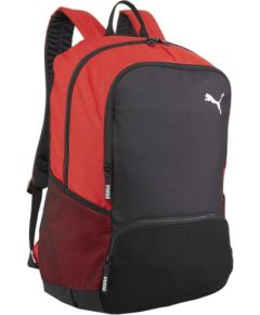 Puma Team Goal Premium backpack 90458 03