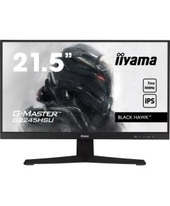 Monitor iiyama G-Master G2245HSU-B2 Black Hawk