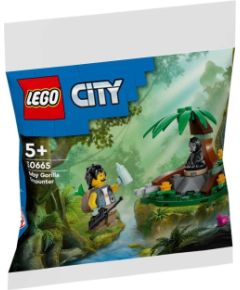 LEGO City Spotkanie z małym gorylem