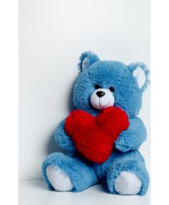 Go Gift FRANK teddy bear 50 cm blue