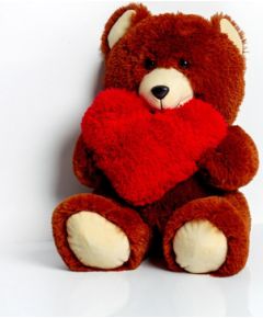 Go Gift FRANK teddy bear 50 cm brown