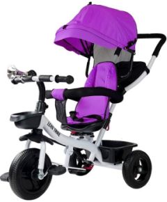 Leantoys Tricycle PRO300 Violet