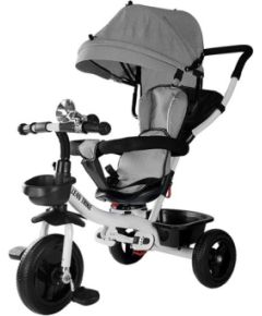 Leantoys Tricycle PRO300 Gray