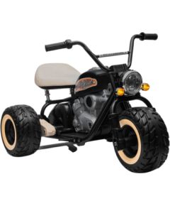 Leantoys Battery-powered Tricycle LL6688 Black 24V