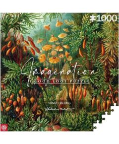 Cenega Publishing Imagination Puzzle: Ernst Haeckel Muscinae 1000 elements