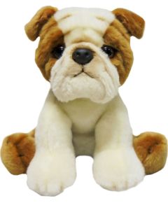 Smily Play Pies bull dog 30cm SmilyPlay 47739