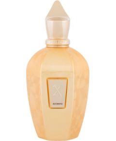 Xerjoff Accento / Overdose 100ml