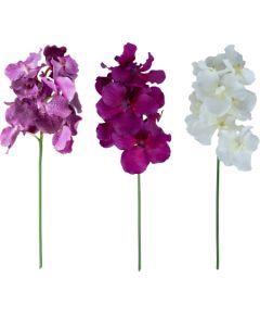 Orchid FLOWERLY H60cm, mix