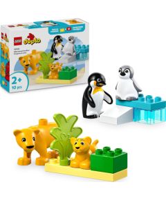 Lego Duplo Rodziny dzikich zwierząt: pingwiny i lwy (10442)