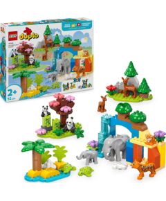 Lego Duplo Rodziny dzikich zwierząt 3 w 1 (10446)