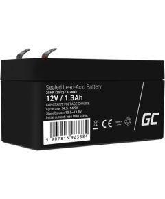 Maintenance-free AGM VRLA Green Cell AGM41 12V 1.3Ah Battery (for alarm system, cash register, toy)