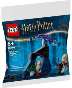 LEGO Harry Potter Draco w Zakazanym Lesie (30677)