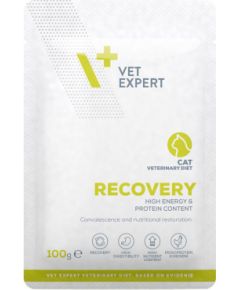 VET EXPERT Veterinary Diet Recovery Cat - wet food for cats - 100g