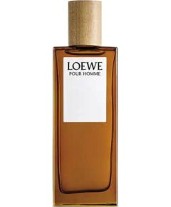 Loewe Pour Homme Edt Spray 100 ml