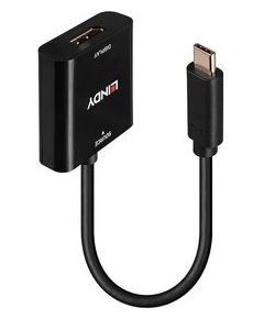 Lindy - video adapteris - 24 pin USB-C uz DisplayPort - 21 cm