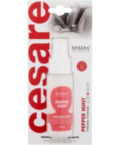 Mr&mrs Fragrance Cesare / Car Spray Perfume 50ml Pepper Mint